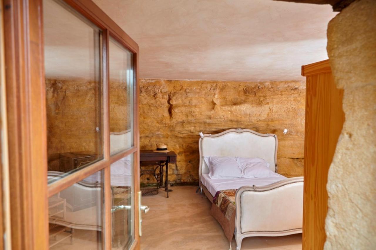 Domaine De Cantegrel - Gites De Charme Et Suite Troglodyte En Perigord ヴィトラック エクステリア 写真