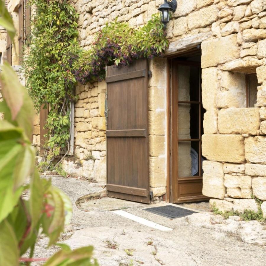 Domaine De Cantegrel - Gites De Charme Et Suite Troglodyte En Perigord ヴィトラック エクステリア 写真