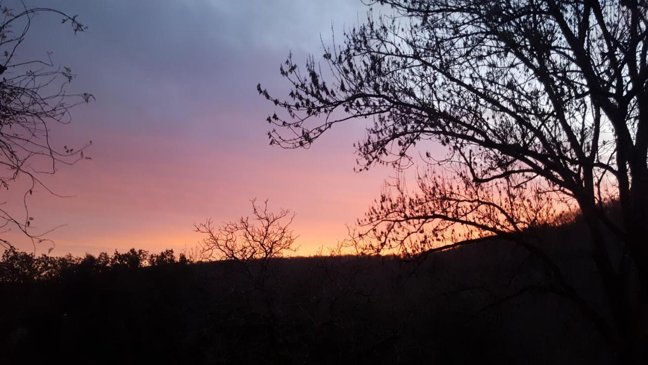 Domaine De Cantegrel - Gites De Charme Et Suite Troglodyte En Perigord ヴィトラック エクステリア 写真