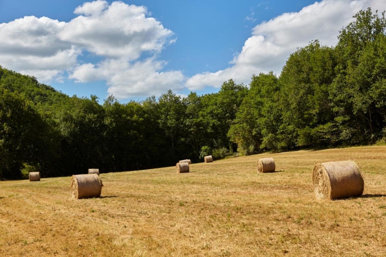 Domaine De Cantegrel - Gites De Charme Et Suite Troglodyte En Perigord ヴィトラック エクステリア 写真
