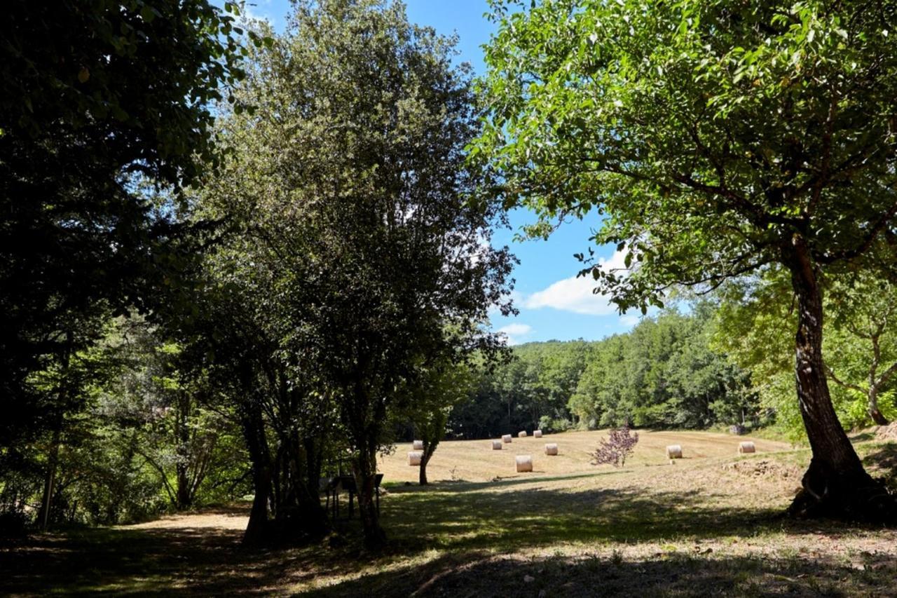 Domaine De Cantegrel - Gites De Charme Et Suite Troglodyte En Perigord ヴィトラック エクステリア 写真