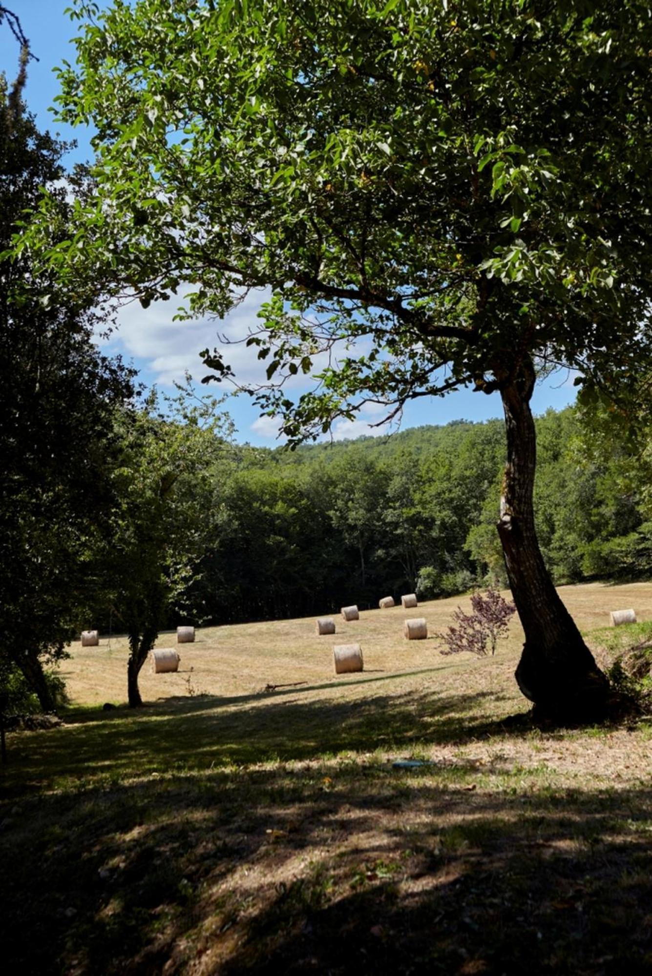 Domaine De Cantegrel - Gites De Charme Et Suite Troglodyte En Perigord ヴィトラック エクステリア 写真